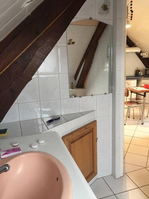 Logement Cosy Et Lumineux Auxerre Exteriér fotografie
